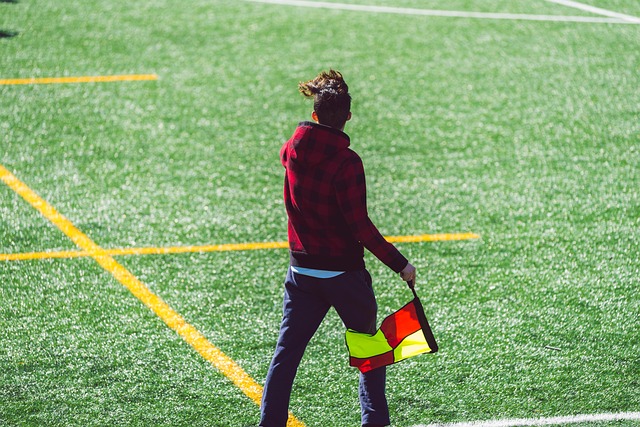 部分人视为 部分人视为