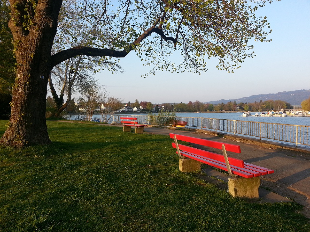 大胆且有效 大胆且有效