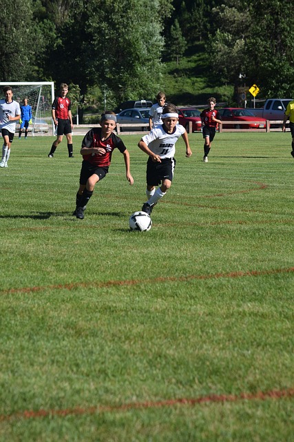 员体能分配 员体能分配